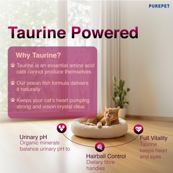 Purepet Adult Dry Cat Food 1kg | Tuna & Salmon Flavour | Hairball Protection | Heart Care with Taurine | Skin Health