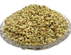 Yuvika Pamba Dana - Binola Giri - Cotton Seeds - Gossypium Herbaceum 100 Grams