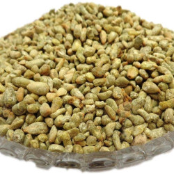Yuvika Pamba Dana - Binola Giri - Cotton Seeds - Gossypium Herbaceum 100 Grams