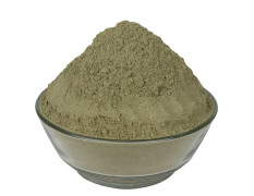 Yuvika Gurmar Powder - Gudmar - Madhunashni Powder - Meshashringi - Nagapushpi - Gymnema Sylvestre 250 Grams