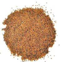 Yuvika Taramira Seeds - Tarameera - Tara Mira 100 Grams