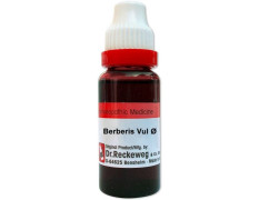 Dr. Reckeweg Berberis Vul Q Liquid (20 ml)