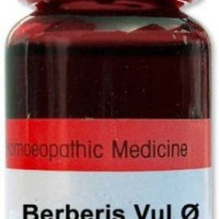 Dr. Reckeweg Berberis Vul Q Liquid (20 ml)