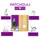 PHOOL LUXURY INCENSE Natural Incense Cones (Bundle Pack Of 4) I Special Pack Classic Fragrances - Jasmine, Patchouli, Tulsi, Vetiver I 100% Organic Dhoop Cones I Charcoal & Chemical Free