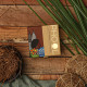PHOOL LUXURY INCENSE Natural Incense Cones (Bundle Pack Of 4) I Special Pack Classic Fragrances - Jasmine, Patchouli, Tulsi, Vetiver I 100% Organic Dhoop Cones I Charcoal & Chemical Free