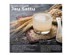 Ghotaram Authentic Bharatpur Special Jau Barley Barli Joo Jaun Sattu Sattva | Instant Food or Drink enriched with Fibre & Protein | Barley Jau Sattu Drink Powder-1200g(pac 5x 240g)