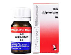 Dr Reckeweg Kali sulphuricum 6x 20 gm Pack of 2