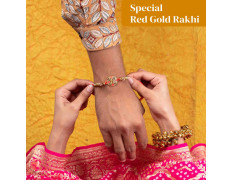 Anmol Rakhi Gift Hamper - 7 Items Combo Pack - Chocolate Coated Almonds & Cashews - Four packets of Dry Fruits with Roli, Chawal & Rakhi | Raksha Bandhan Box for Brother - Rakhi with Gift Set