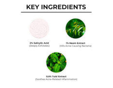 Dr. Sheth's Neem & Salicylic Acid Foaming Face Wash | Foaming & Exfoliating Acne - Fighting Face Wash | 100 ml