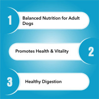 Purepet Adult Dry Dog Food 1kg | Chicken & Vegetable Flavour | Hairball Protection | Heart Care with Taurine | Skin Health