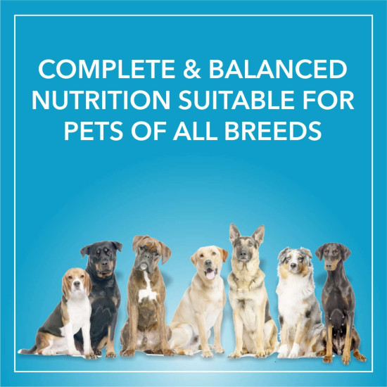 Purepet Adult Dry Dog Food 1kg | Chicken & Vegetable Flavour | Hairball Protection | Heart Care with Taurine | Skin Health