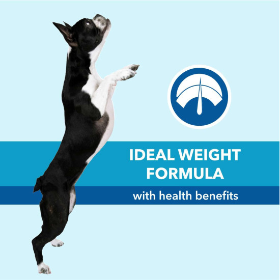 Purepet Adult Dry Dog Food 1kg | Chicken & Vegetable Flavour | Hairball Protection | Heart Care with Taurine | Skin Health