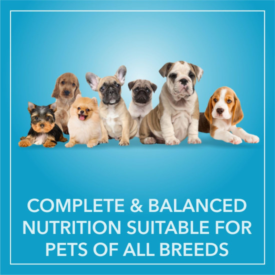 Purepet Puppy Dry Dog Food 1kg | Chicken & Vegetable Flavour | Hairball Protection | Heart Care with Taurine | Skin Health