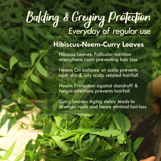 Nat Habit Men's Revital Dasabuti Hair Oil for Hairfall, Dandruff Control with 16 Herbs Soaked, Castor, Coconut -100 ml