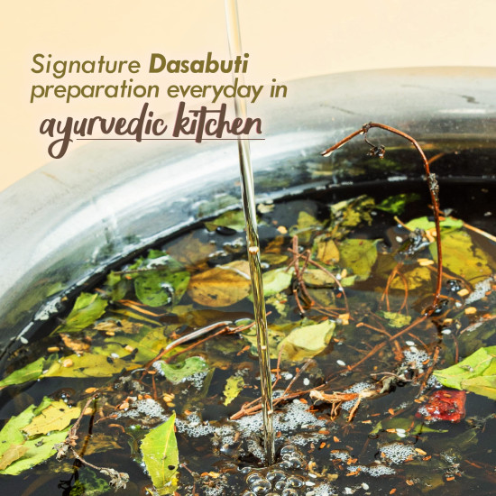 Nat Habit Men's Revital Dasabuti Hair Oil for Hairfall, Dandruff Control with 16 Herbs Soaked, Castor, Coconut -100 ml