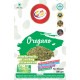 Am 2 Pm - Oregano 500gm, Pizza Seasoning Tasty & Healthy, Oregano Pizza Pasta Seasoning, Spice Blend for Pizza Pasta