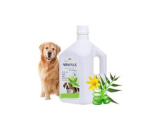 Pil Neem Plus Herbal Pet Shampoo 1000ml | Puppy Safe | Anti-Fungal, Anti-Ticks and Fleas, Antibacterial, Antiseptic & pH Balanced Dog Shampoo | Regular use Coat Cleansing Shampoo for Pets