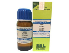 SBL Taxus Baccata Dilution 1000 CH