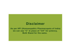 SBL Hamamelis Virginica Dilution 12 CH