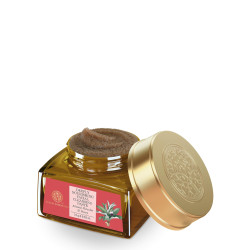 Forest Essentials Facial Cleansing Paste for Dry Skin | with Almond Pistachio & Honey | Daily Exfoliating Face Scrub | Moisturising Face Exfoliator | Milk & Honey Face Scrub