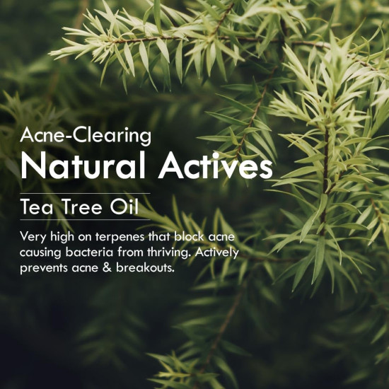 Nat Habit Neem Gel Face Wash For Oily Skin Acne, Pimple And Oil Control With Glowing Skin, Paraben & Sulpahte Free Face Cleanser For Men & Women, (100 g)