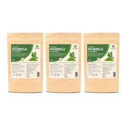 Maharishi Ayurveda Organic Moringa Churna 100 gm (Pack of 3)