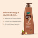 Joy Cocoa Rich Intense Nourishing Summer Body Lotion (600ml) | 24 Hour Nourishment | With Shea Butter & Cocoa Butter | Suitable for Normal to Dry Skin | Non Sticky & Non Greasy Lightweight