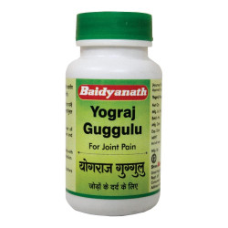 Baidyanath Yograj Guggulu - 120 Tablets (Pack of 2)