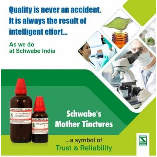 Dr.Willmar Schwabe India Sabal Serrulata Mother Tincture (4 x 30)