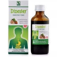 Willmar Schwabe India Dizester (100ml)
