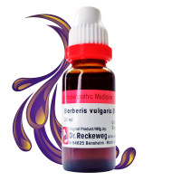 Dr. Reckeweg Berberis Vulgaris Mother Tincture Q (2x22ml) Pack of 2 By HOMEOLAV