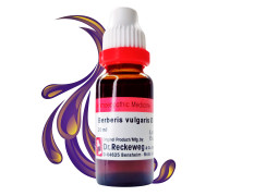 Dr. Reckeweg Berberis Vulgaris Mother Tincture Q (2x22ml) Pack of 2 By HOMEOLAV