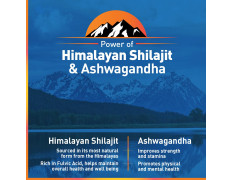 Zandu Vigorex Shilajit Ashwagandha Capsule