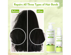WishCare Triple Bond Repair Shampoo for Dry & Frizzy Hair - 5% AminoPeptide Complex & PCA - Repairs Damaged & Frizzy Hair 250ml