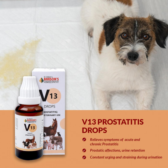 Bakson Veterinary | V-13 (Prostatitis Drops) | 30 ML