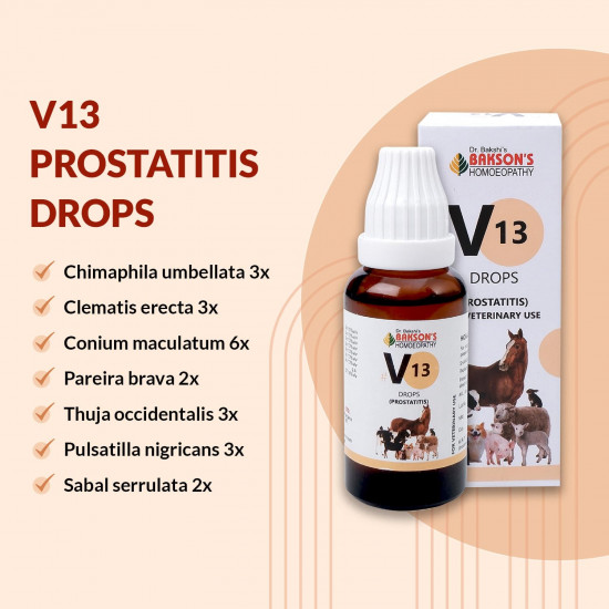 Bakson Veterinary | V-13 (Prostatitis Drops) | 30 ML