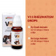 Bakson Veterinary | V-11 (Rheumatisum Drops) | 30 ML