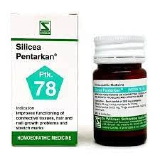 Dr. Willmar Schwabe India Silicea Pentarkan Tab (Ptk78) 20 gms (Pack of 1)