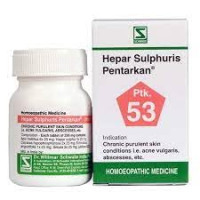 Dr. Willmar Schwabe India Hepar Sulphuris Pentarkan Tab (Ptk53) 20 gms (Pack of 1)
