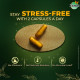 Zandu Ashwagandha Gold Plus Capsules | Upgrade your Ashwagandha with the goodness of Gold | Reduces Stress, Boosts Immunity & Stamina | 60 capsules I 11 Potent ingredients such as Gokshura, Safed Musali and more