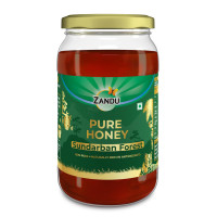 Zandu Pure Honey Sundarban Forest, Natural Honey from the Largest Mangrove Forest, Multi Flora & Medicinal Properties, Comes without Added Sugar & Preservatives, 100% Natural, Glass Jar, 500g