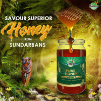 Zandu Pure Honey Sundarban Forest, Natural Honey from the Largest Mangrove Forest, Multi Flora & Medicinal Properties, Comes without Added Sugar & Preservatives, 100% Natural, Glass Jar, 500g