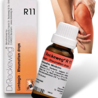 Dr. Reckeweg R 11 Rheumatism Drop - 22 ml (Pack of 1 Bottle)