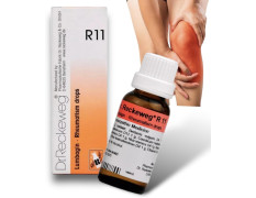 Dr. Reckeweg R 11 Rheumatism Drop - 22 ml (Pack of 1 Bottle)