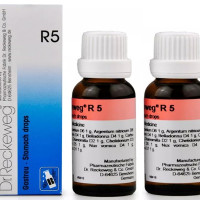 Dr. Reckeweg R5 Stomach and Digestion Drop - 22 ml (Pack of 2)