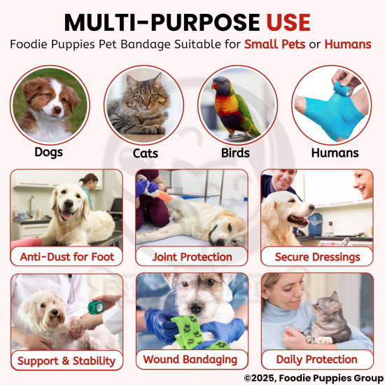 Foodie Puppies 2-Inch Self-Adhesive Kinesiology Pet Bandages - (2 Rolls, Small, 1.8M Each) | Waterproof, Elastic, Breathable Wrap for Dogs, Cats, and Humans | Wound Care, First Aid, Injury Recovery