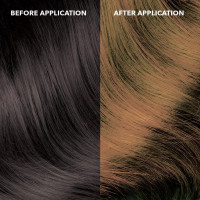 Paradyes Glitter Gold Temporary Hair Color, 45 gms | Lasts one wash | Delightful Fragrance | Suitable for Application on Black Hair | No Bleach Hair Makeup