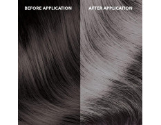 Paradyes Bullet Silver Temporary Hair Color, 45 gms | Lasts one wash | Delightful Fragrance | Suitable for Application on Black Hair | No Bleach Hair Makeup