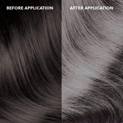 Paradyes Bullet Silver Temporary Hair Color, 45 gms | Lasts one wash | Delightful Fragrance | Suitable for Application on Black Hair | No Bleach Hair Makeup