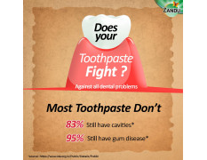 Zandu Dantveer, 500g, Fights 9 Dental Problems, with Irimedadi oil, Advanced Ayurvedic Toothpaste, Scientifically proven formula